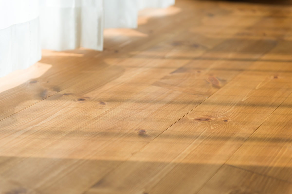 実勢に施工したモデルハウスで相談会を実施！