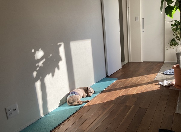 おすすめ暖房器具！