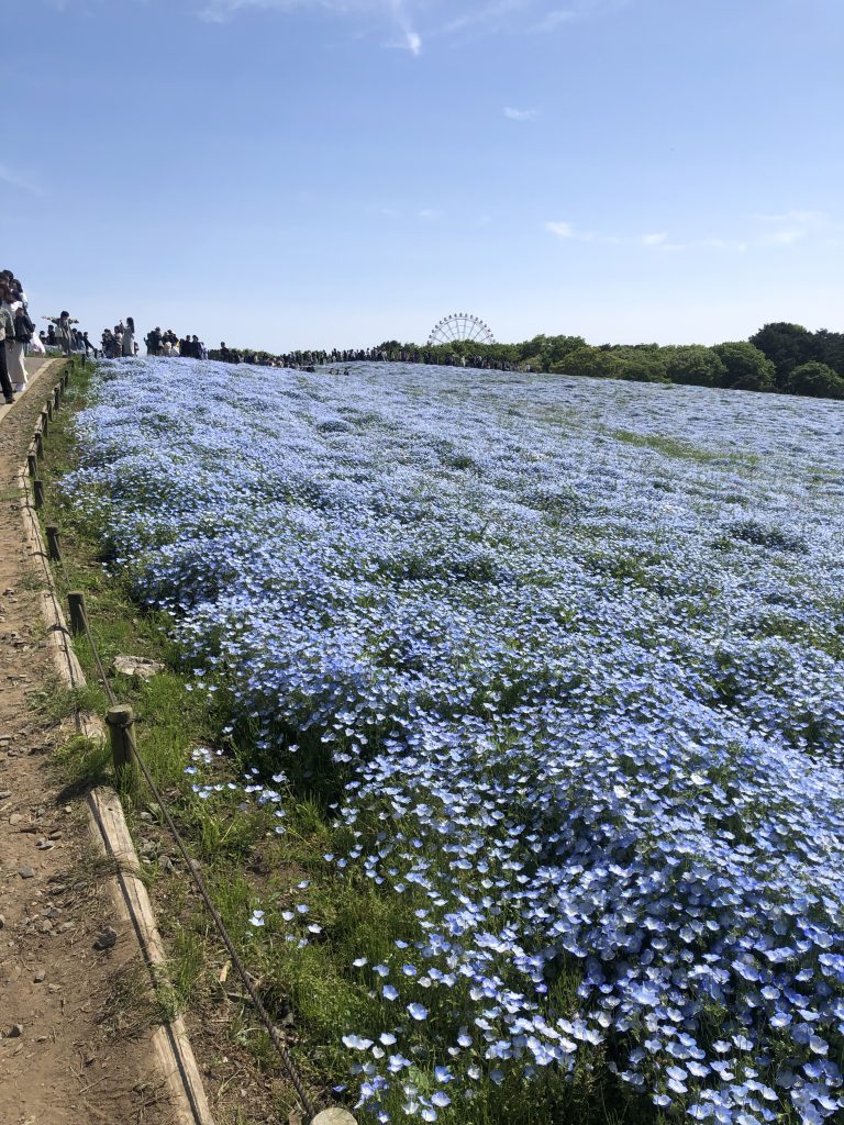 茨城県の魅力～ある日の休日編～