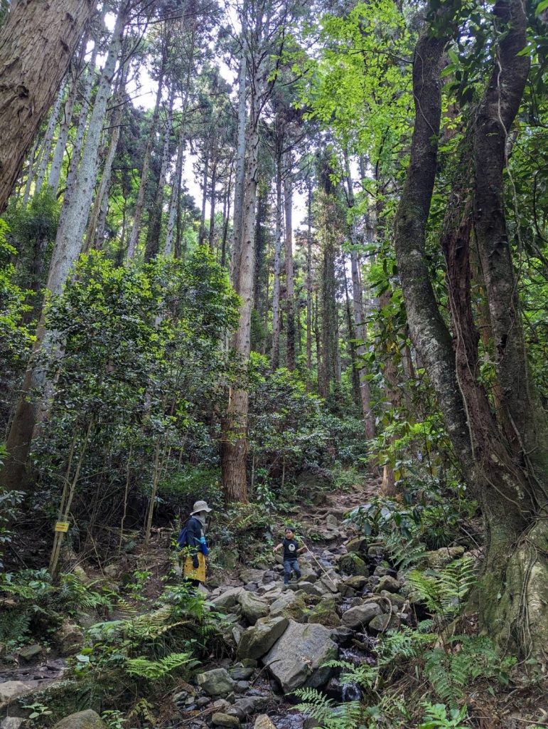 朝日峠に行ってきました
