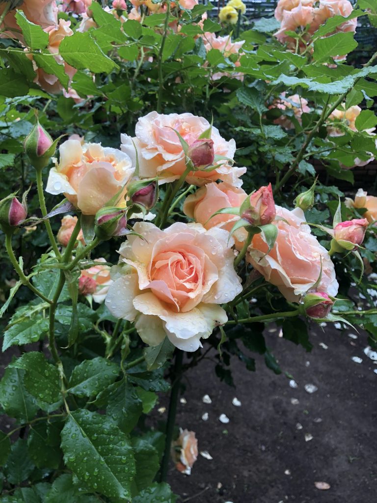 K様邸のお引渡し