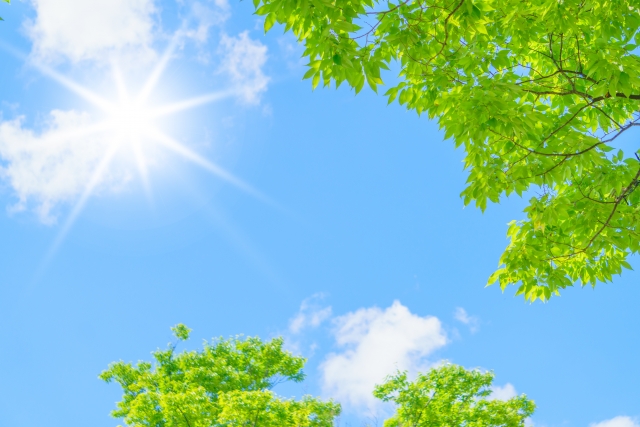 もう夏ですか？