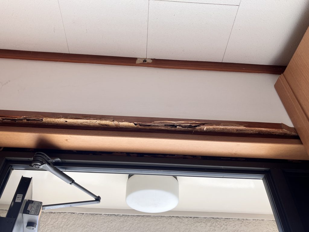 カイテキホームで白蟻消毒！