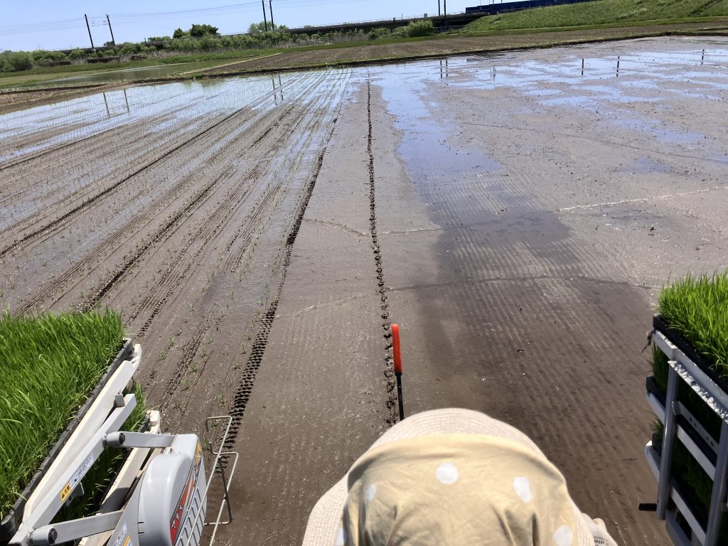 カイテキリノベで和室を洋室に！
