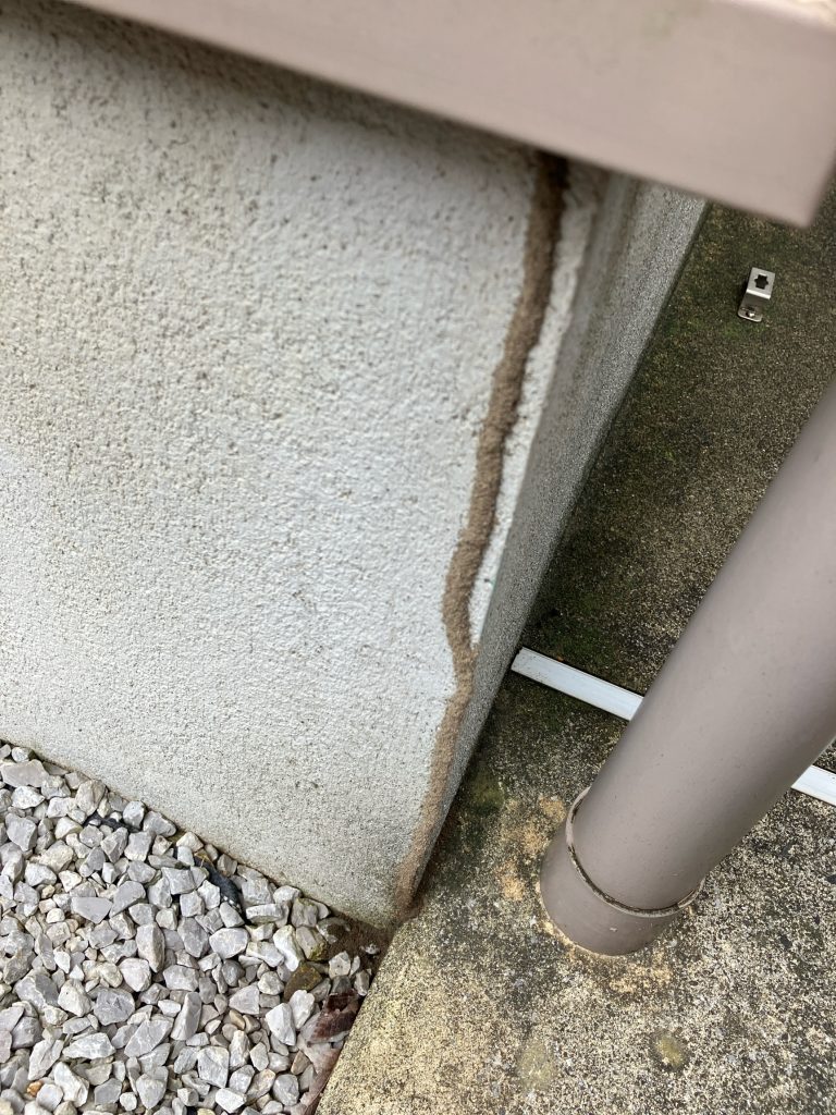 白蟻被害事例紹介