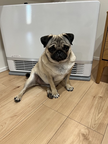 おすすめ！温水ルームヒーター！